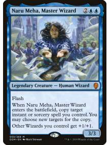 Naru Meha, Maga Mestra / Naru Meha, Master Wizard