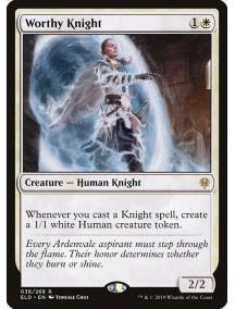 Cavaleira Digna / Worthy Knight