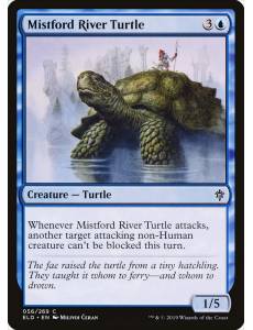 Tartaruga do Rio Vaubruma / Mistford River Turtle