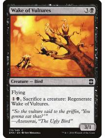 (Foil) Wake of Vultures
