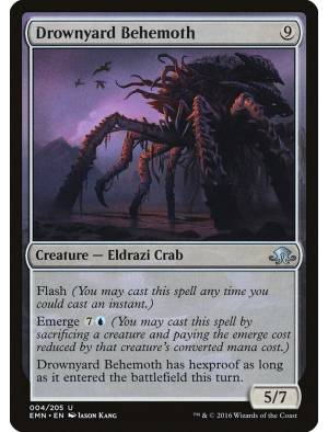 (Foil) Behemoth da Costa Náufraga / Drownyard Behemoth