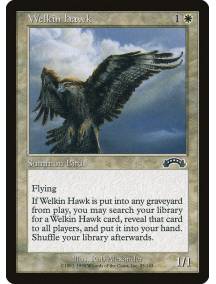 Welkin Hawk / Falcão do Firmamento
