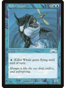 Killer Whale / Baleia Assassina