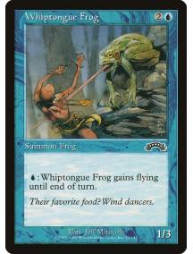Whiptongue Frog / Sapo Língua-de-chicote