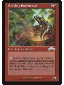 Scalding Salamander / Salamandra Escaldante