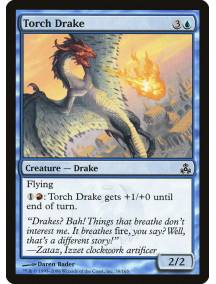 Dragonete Tocha / Torch Drake
