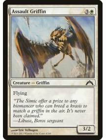 Grifo de Assalto / Assault Griffin