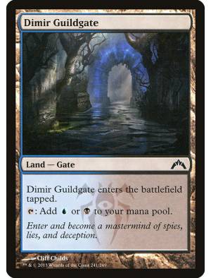 Portão da Guilda Dimir / Dimir Guildgate