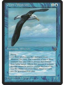 Giant Albatross / Albatroz Gigante (Oceano)