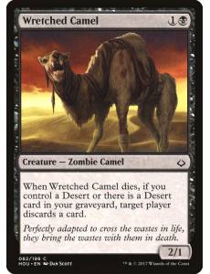 Camelo Nefasto / Wretched Camel