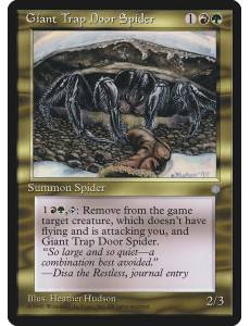 Aranha Armadeira Gigante / Giant Trap Door Spider