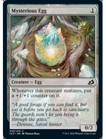 Ovo Misterioso / Mysterious Egg
