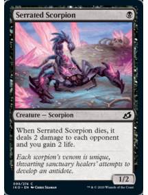 Escorpião Serrilhado / Serrated Scorpion
