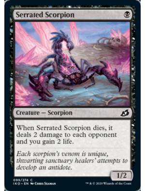Escorpião Serrilhado / Serrated Scorpion
