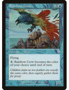 Corvo do Arco-Íris / Rainbow Crow