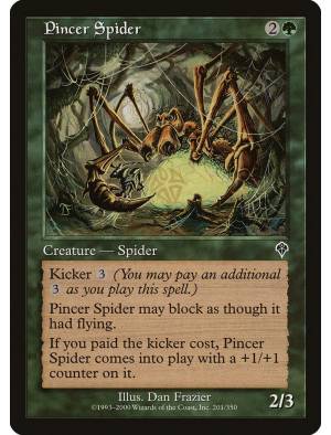 Aranha de Pinças / Pincer Spider