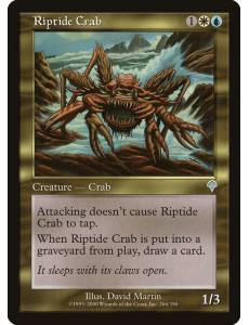 Caranguejo de Rebentação / Riptide Crab