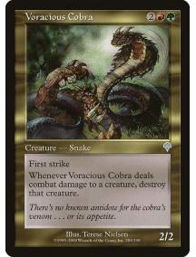 Naja Voraz / Voracious Cobra