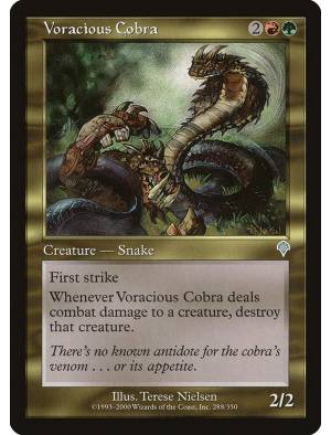Naja Voraz / Voracious Cobra