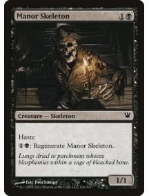 Esqueleto do Casarão / Manor Skeleton