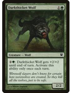 Lobo do Matagal Escuro / Darkthicket Wolf