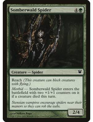 Aranha de Somberwald / Somberwald Spider