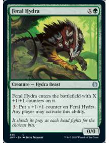 Hidra Selvagem / Feral Hydra