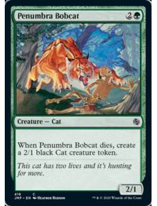 Penumbra Bobcat