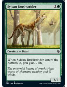 Salta-mato Silvestre / Sylvan Brushstrider