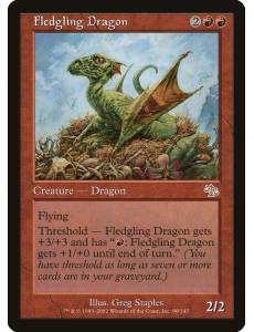 Dragão Inexperiente / Fledgling Dragon