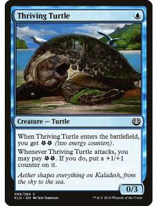 Tartaruga Vigorosa / Thriving Turtle