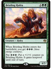 Hidra Eriçada / Bristling Hydra