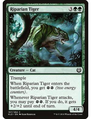 (Foil) Tigre Ripariano / Riparian Tiger