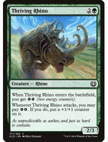 Rinoceronte Vigoroso / Thriving Rhino