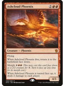 Fênix Nuvem-de-cinzas / Ashcloud Phoenix