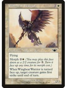 Guerreiro Bate-Asas / Wingbeat Warrior