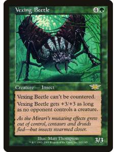 Besouro Perturbador / Vexing Beetle