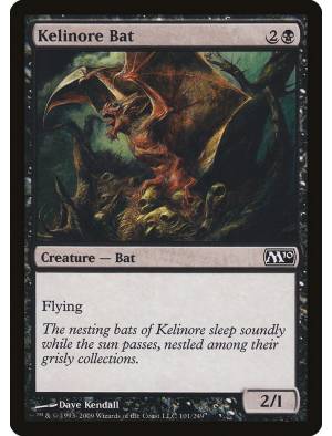 Morcego de Kelinore / Kelinore Bat