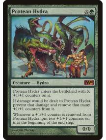 Hidra Protéica / Protean Hydra