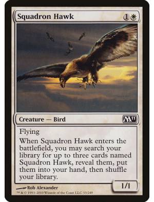 Falcão do Esquadrão / Squadron Hawk