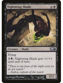 Sombra da Asa Noturna / Nightwing Shade