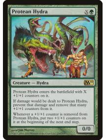 Hidra Proteica / Protean Hydra