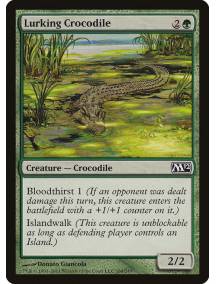 Crocodilo Espreitador / Lurking Crocodile