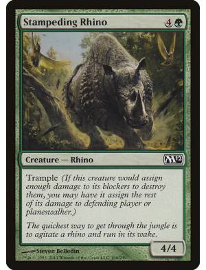 Rinoceronte Desembestado / Stampeding Rhino