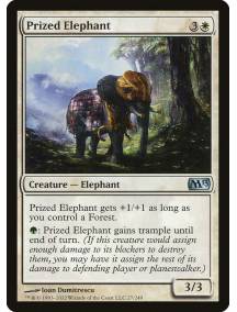 Elefante Valioso / Prized Elephant