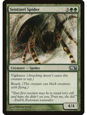 Aranha Sentinela / Sentinel Spider