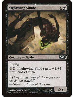 Sombra da Asa Noturna / Nightwing Shade