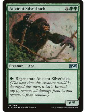 Gorila Ancião de Dorso Prateado / Ancient Silverback