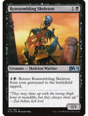 (Foil) Esqueleto Remontado / Reassembling Skeleton