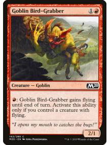 Pega-pássaro Goblin / Goblin Bird-Grabber